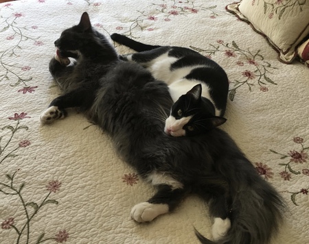 Smokey and Bandit