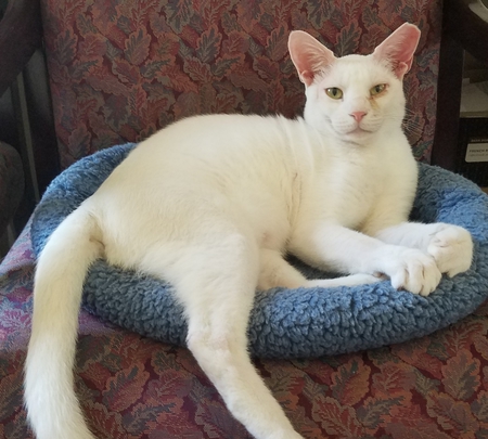 Casper