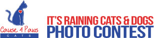 Logo for Cause 4 Paws IT’S RAINING CATS & DOGS photo contest