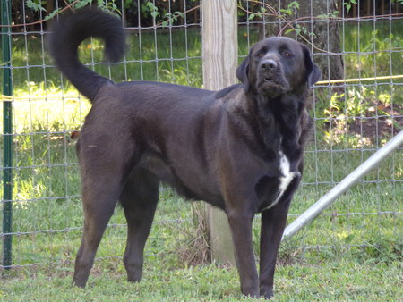 Pepper........... aka Jackie