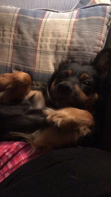 Rascal 