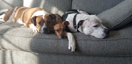 Mama, Rosie, and Slay
