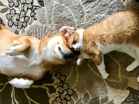 Rocket & BC