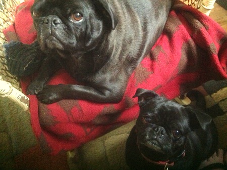 Oliver Louis and Sister Hope
