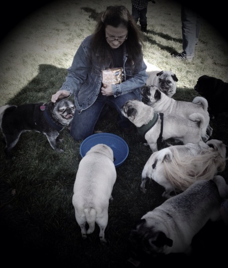 Watson & The Gang