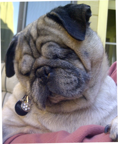 Roxie