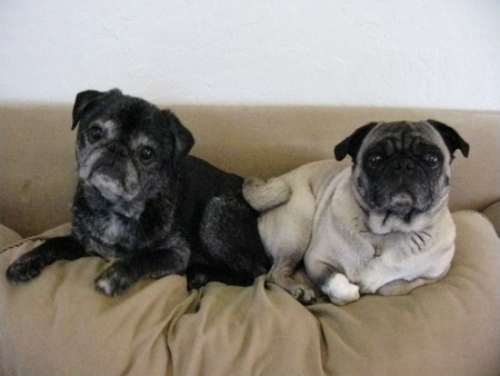 Winston & Lilly