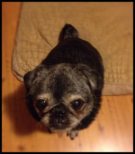 Winston