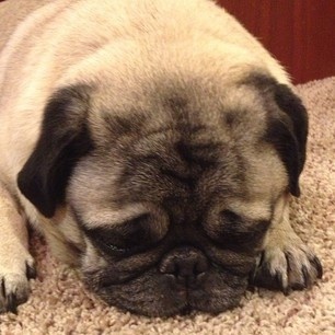 Winston