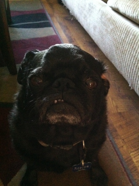Roscoe