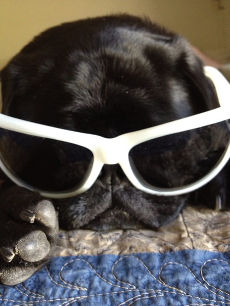 Roscoe