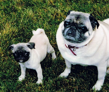 Harley & Lucy Duncan