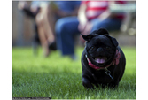Joshua Peters Photography / JPFoto_Flickr