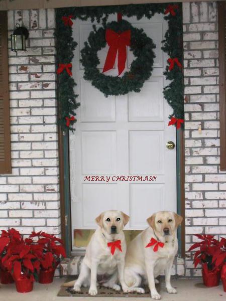 Emma & Bailey