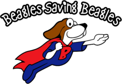 Logo for BREW Rescue 2020 Calendar Cover Dog Photo Contest
