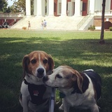 Entry image for Hootie Hoo and Tony
