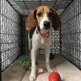 Entry image for Molly