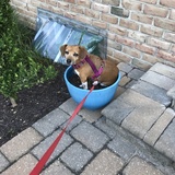 Entry image for Daisy 