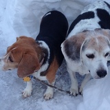 Entry image for Pippa & Cary