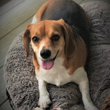 Entry image for Lucy Mae