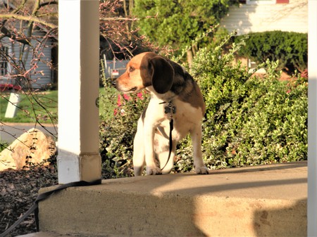 Entry image for Turbo. Clicking this image will show a larger photo