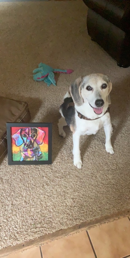 Entry image for Lucy. Clicking this image will show a larger photo