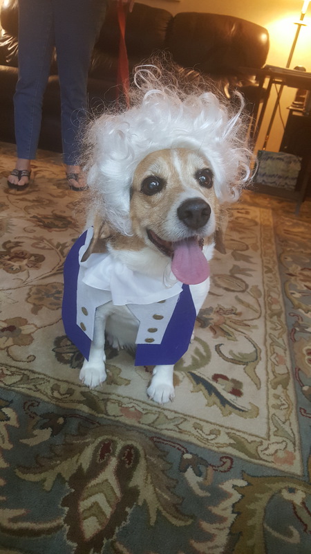 Entry image for Tony (Alexander Hamiltone). Clicking this image will show a larger photo