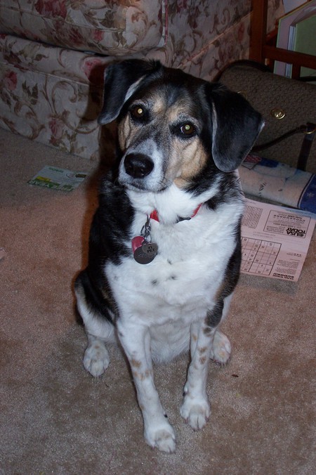 Entry image for Lady. Clicking this image will show a larger photo