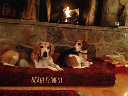 Entry image for Bonnie and Joy. Clicking this image will show a larger photo