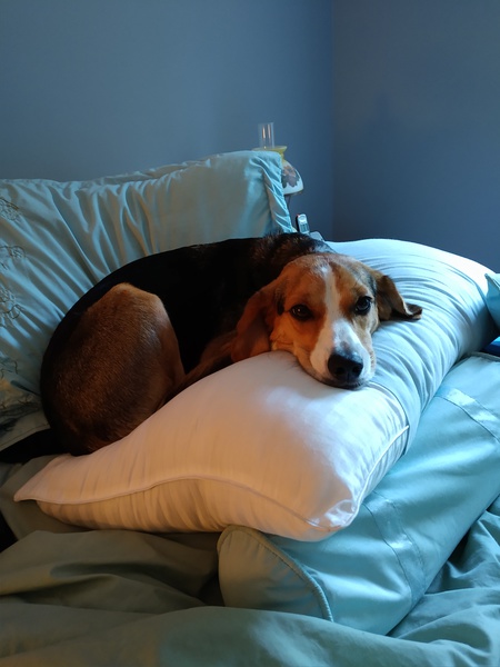 Entry image for Holly. Clicking this image will show a larger photo