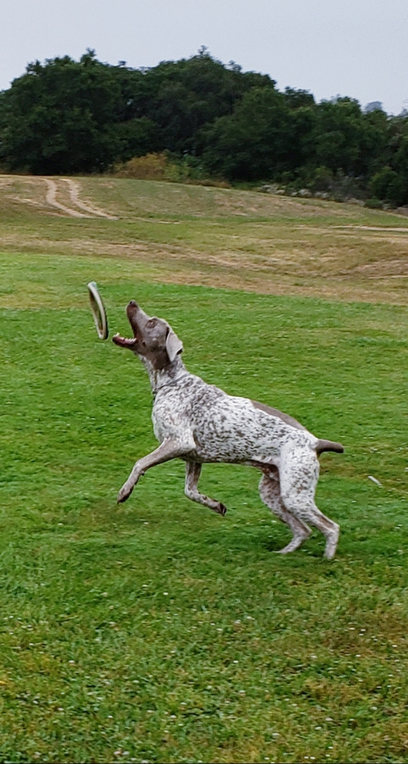 Archer