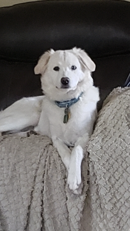 Jasper 