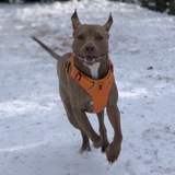 Entry image for Roux