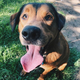 Entry image for Porter 