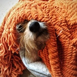 Entry image for Oliver