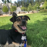 Entry image for skippy 