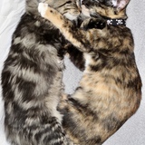 Entry image for Leni & Lucas