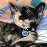 Entry image for Leni