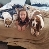 Entry image for Heloise, Abigail and Rosey