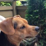 Entry image for Riley