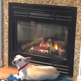 Entry image for Dash