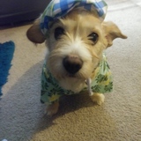 Entry image for Tucker