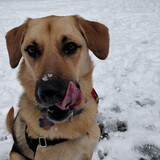 Entry image for Maxton