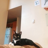 Entry image for Pixel