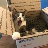 Entry image for Ridley