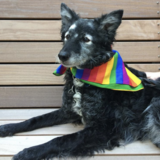 Entry image for Thor