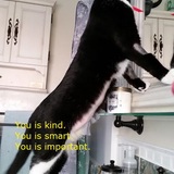 Entry image for Mr. Gru ❤