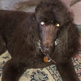 Entry image for Claire