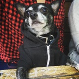 Entry image for Beckham 