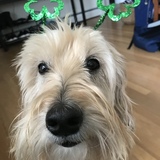 Entry image for Murphy 